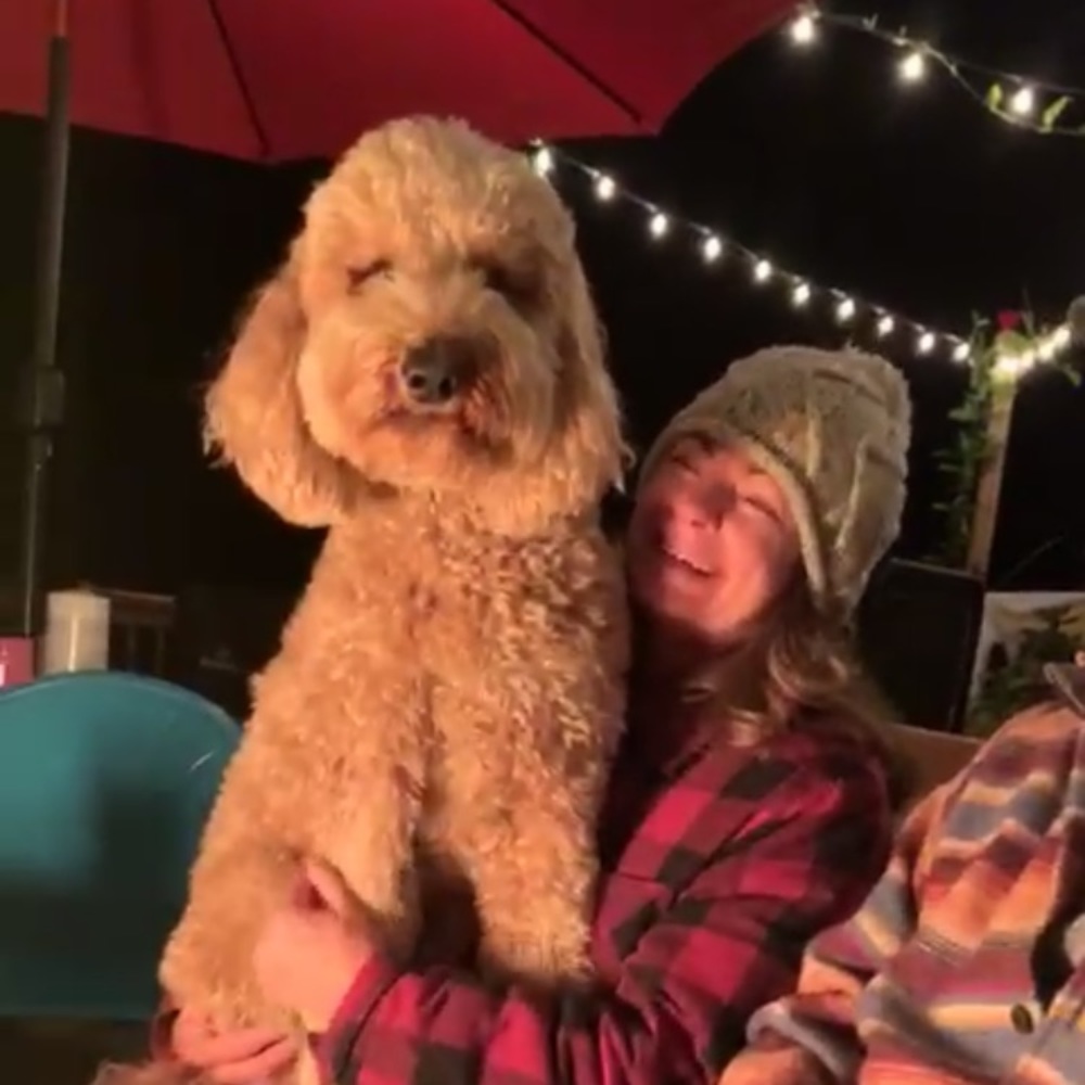 Meet your Posher, Elaine